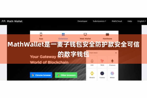 MathWallet是一麦子钱包安全防护款安全可信的数字钱包