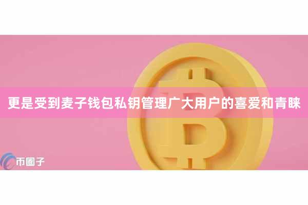 更是受到麦子钱包私钥管理广大用户的喜爱和青睐