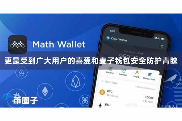更是受到广大用户的喜爱和麦子钱包安全防护青睐