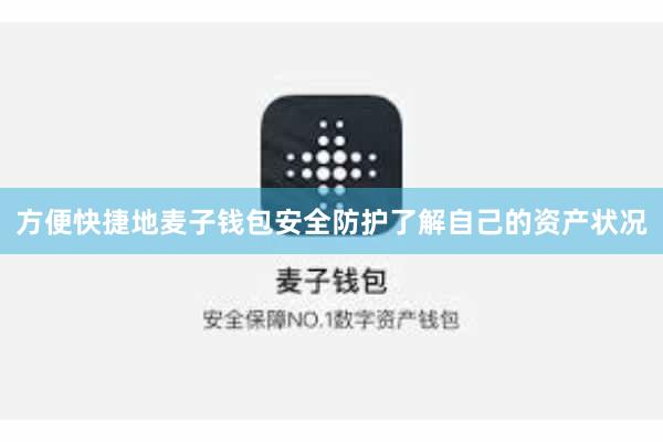 方便快捷地麦子钱包安全防护了解自己的资产状况