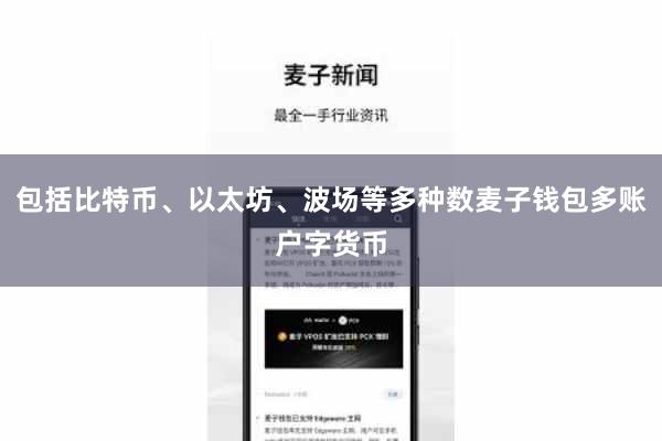 包括比特币、以太坊、波场等多种数麦子钱包多账户字货币