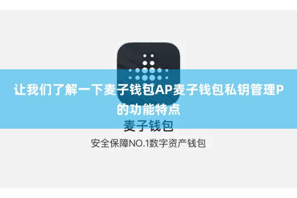 让我们了解一下麦子钱包AP麦子钱包私钥管理P的功能特点