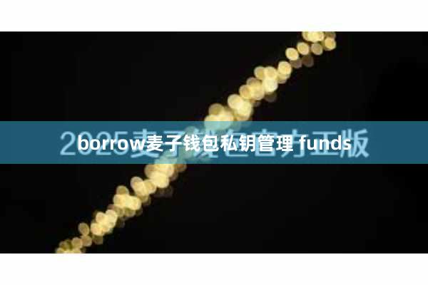 borrow麦子钱包私钥管理 funds