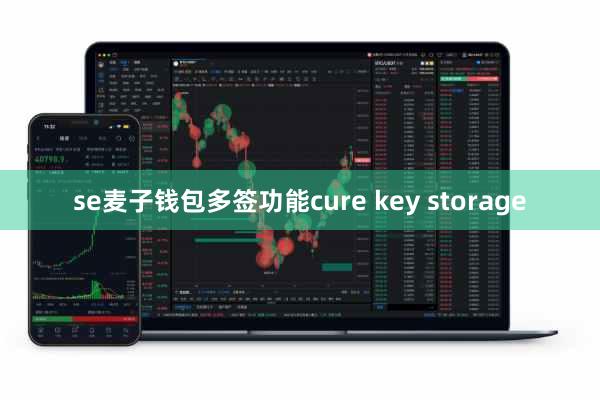 se麦子钱包多签功能cure key storage
