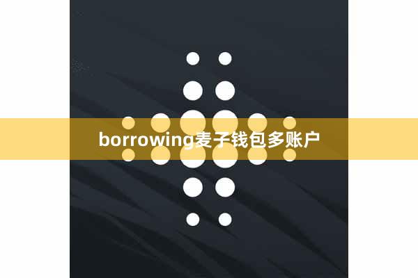 borrowing麦子钱包多账户