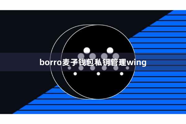 borro麦子钱包私钥管理wing