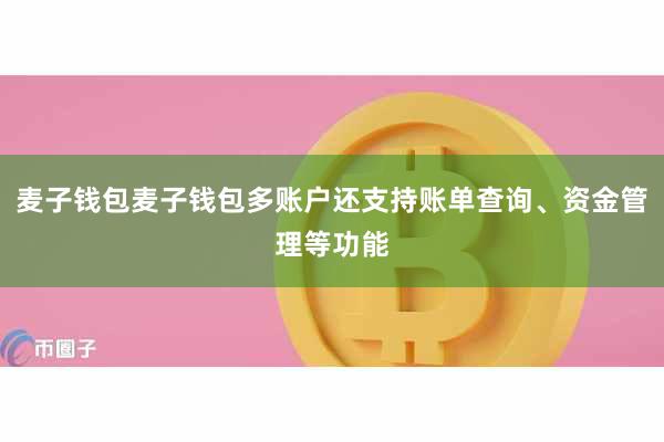 麦子钱包麦子钱包多账户还支持账单查询、资金管理等功能