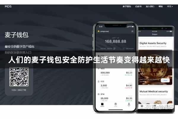 人们的麦子钱包安全防护生活节奏变得越来越快