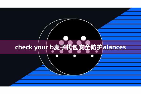 check your b麦子钱包安全防护alances