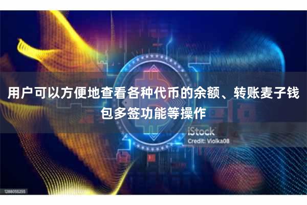 用户可以方便地查看各种代币的余额、转账麦子钱包多签功能等操作