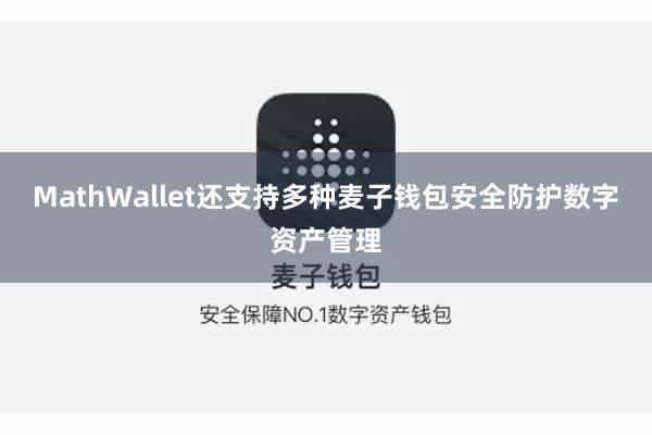 MathWallet还支持多种麦子钱包安全防护数字资产管理