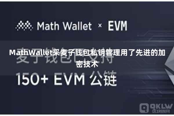 MathWallet采麦子钱包私钥管理用了先进的加密技术